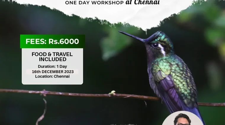 Bird photography workshop capturing birds in natural habitat