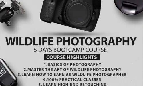 course thumbnail