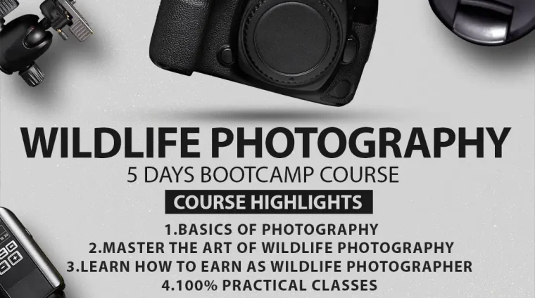 Wildlife_Photography Bootcamp_alt